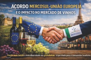 Acordo Mercosul-União Europeia: como o novo pacto comercial vai transformar o mercado de vinhos e impactar consumidores