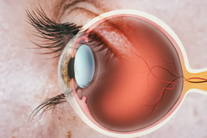 Cientistas de Israel desenvolvem córnea artificial e ampliam perspectiva para transplantes no mundo