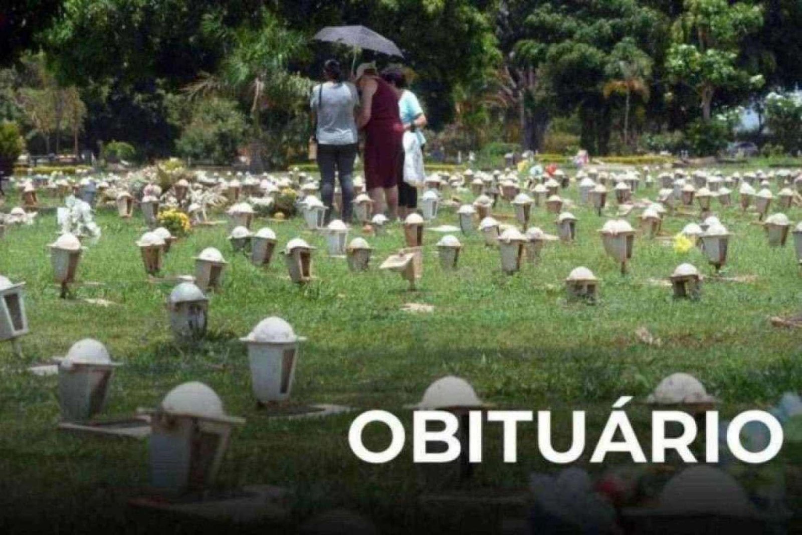 Imagem ilustrativa da matéria