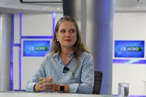 DF em Alerta: risco de gripe aviária aumenta na região