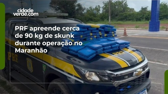 Imagem ilustrativa da matéria