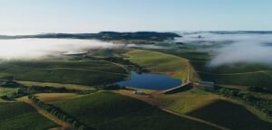 CHANDON BRASIL destaca liderança em viticultura regenerativa no World Living Soils Forum 2026