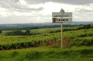 Vinhos da nova geração de produtores de Chablis chegam ao Brasil e harmonizam perfeitamente com a cozinha brasileira 