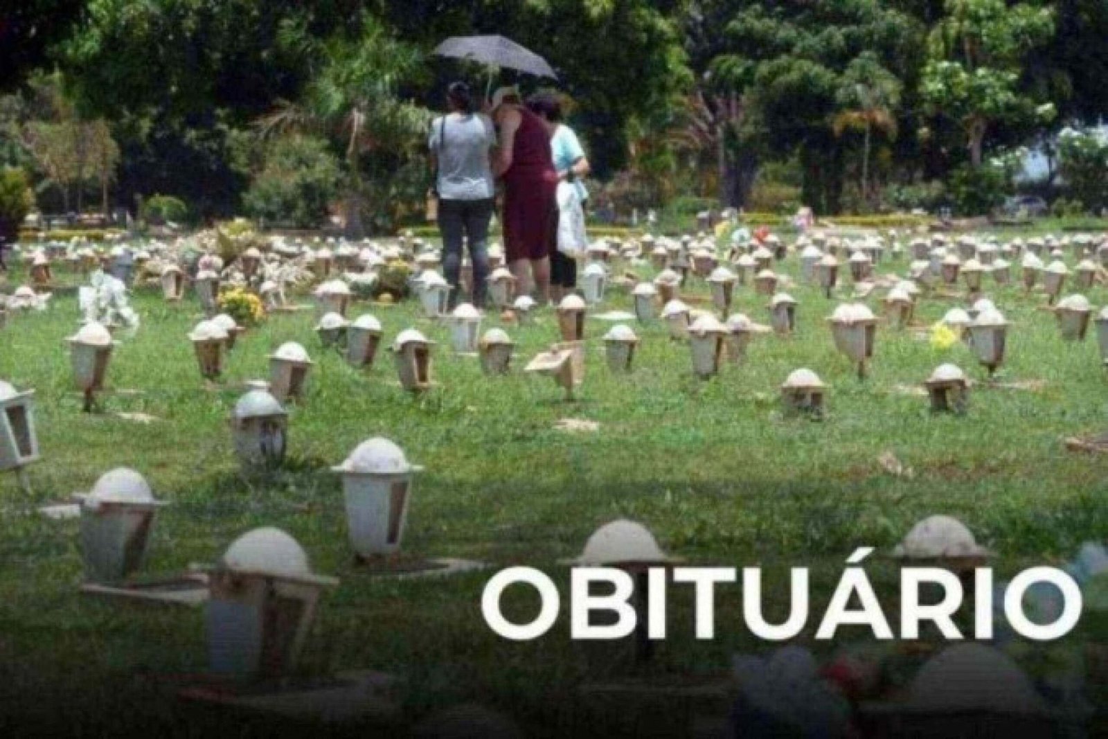 Imagem ilustrativa da matéria