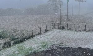 Emergência é reconhecida em oito municípios do Rio Grande do Sul