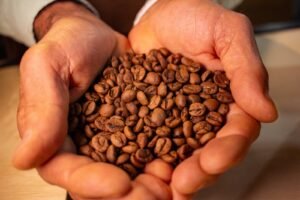 3ª Edição do evento “Safras do Cerrado” acontece de 25 a 27 de setembro, em Brasília – conheça essa experiência gastronômica