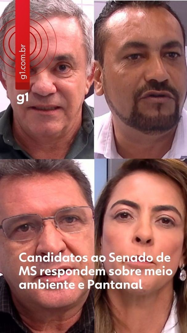 Imagem ilustrativa da matéria