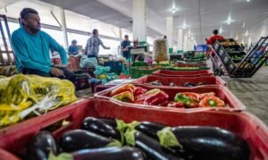 Campanha faz xepa e combate desperdício de alimentos no Brasil